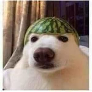 Meet your Posher, Manuel